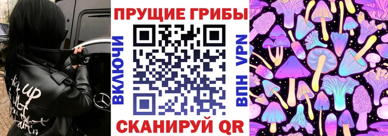 Купить закладки  Донецк  Галлюциногенные грибы Magic Shrooms 